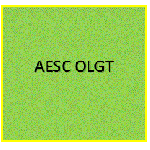 Group Package. Online.  4-hour package ($28.75 per hour / student)