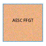 Group Package. Face to Face.. 10-hour package ($30 per hour per student)